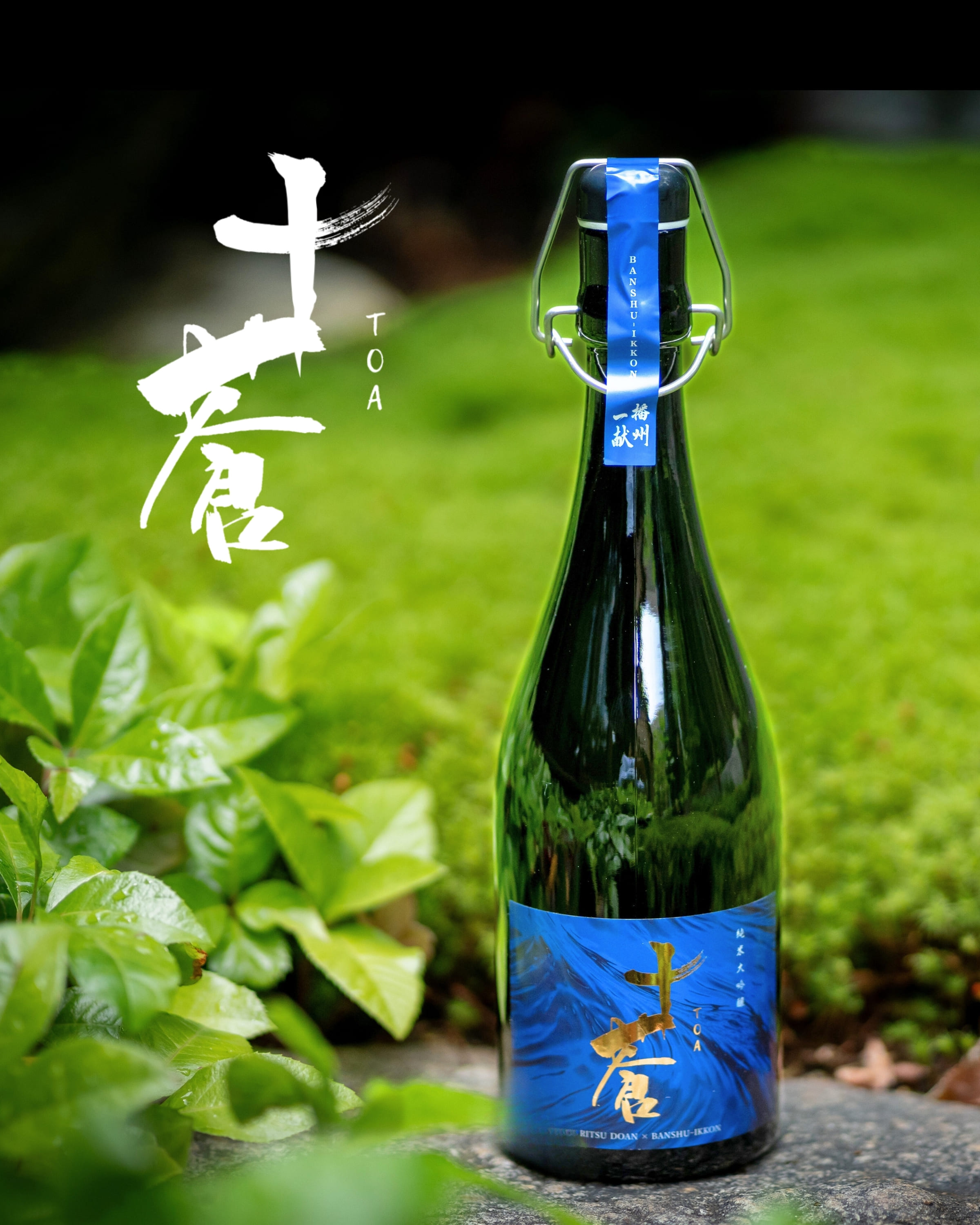 十蒼 (TOA) 純米大吟醸 （INUI SAKE-TEN ONLINE)